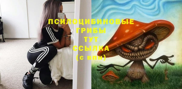 эйфоретик Белокуриха